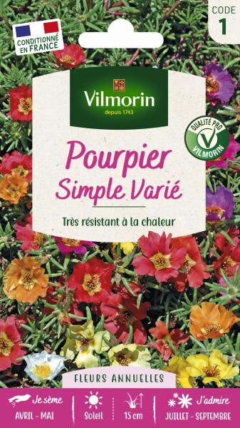 Fleurs - Pourpier Simple Varié - face recto